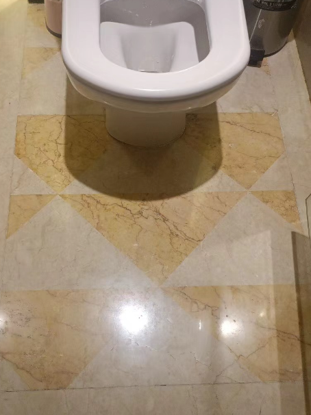 沙湖原种场瓷砖修缮