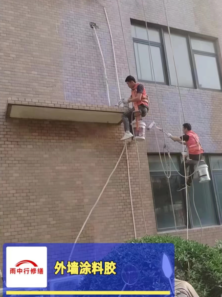 沙湖原种场外墙防水修缮